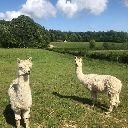 Swallows Oast Glamping Sedlescombe Extérieur photo