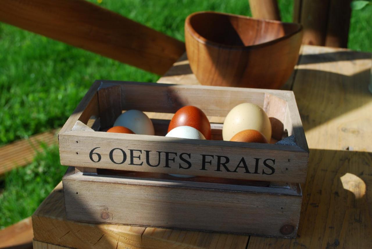 Swallows Oast Glamping Sedlescombe Extérieur photo