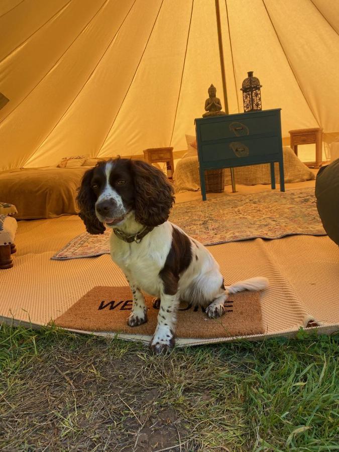 Swallows Oast Glamping Sedlescombe Extérieur photo